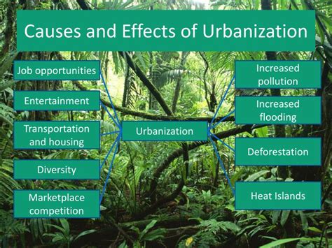 Urbanization Causes and Impacts .
